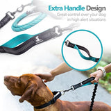 Correa de cuerda de servicio pesado para perros grandes