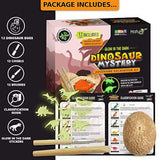 Nature Gear Dino - Juego de 12 huevos para buceo