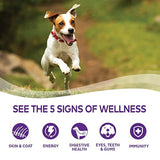 Alimento seco natural para perro