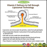 Vitamina Liposomal C 1200mg 180 Cápsula Alta dosis