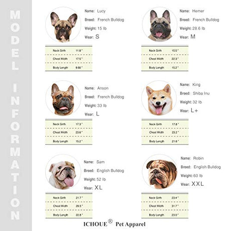iChoue - Disfraz de conejito para perro, para el día de Halloween, otoño, suéter lindo y divertido para clima frío, abrigos de invierno, sudaderas con capucha, ropa pequeña y mediana para cachorros Bulldog francés, Pug, Pitbull y Corgi, talla L Plus