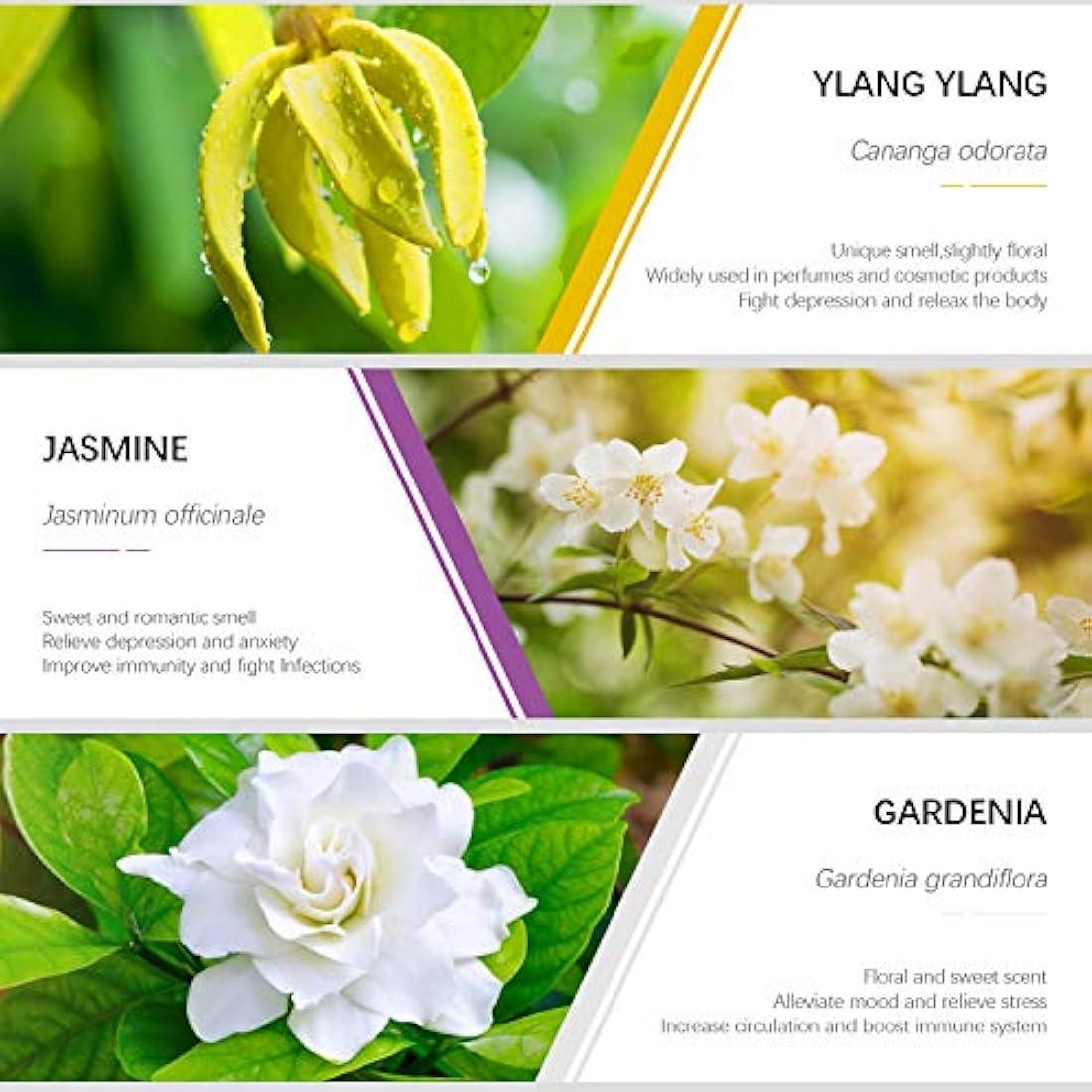 Juego de aceites esenciales, colección floral ESSLUX