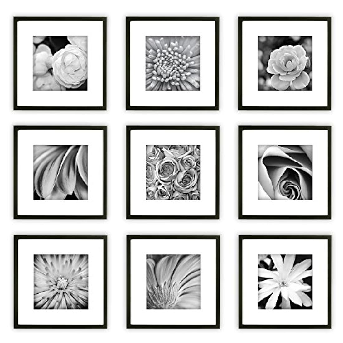 Galería de 9 unidades
