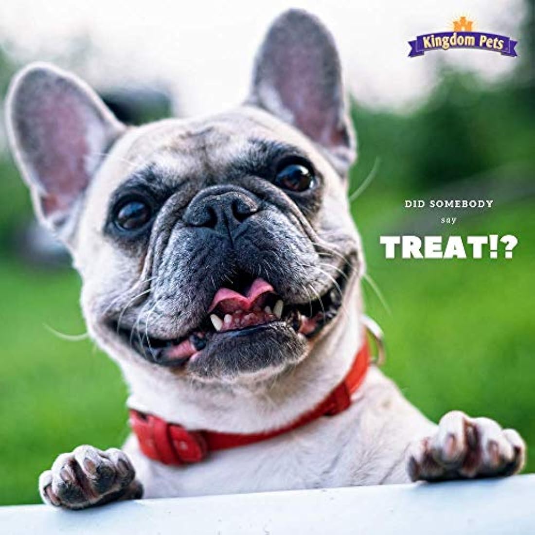 Dulces para perros sabor a tasajo de pollo Kingdom Pets