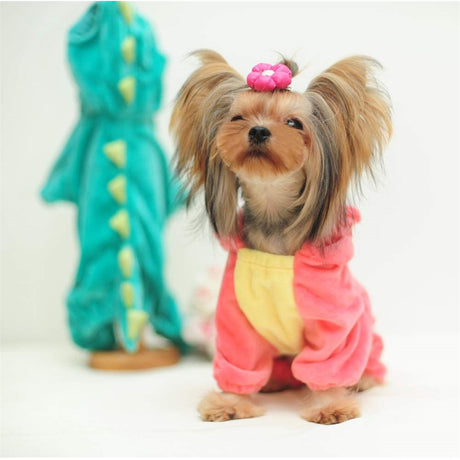 Disfraces de Dinosaurio para Mascota talla XS