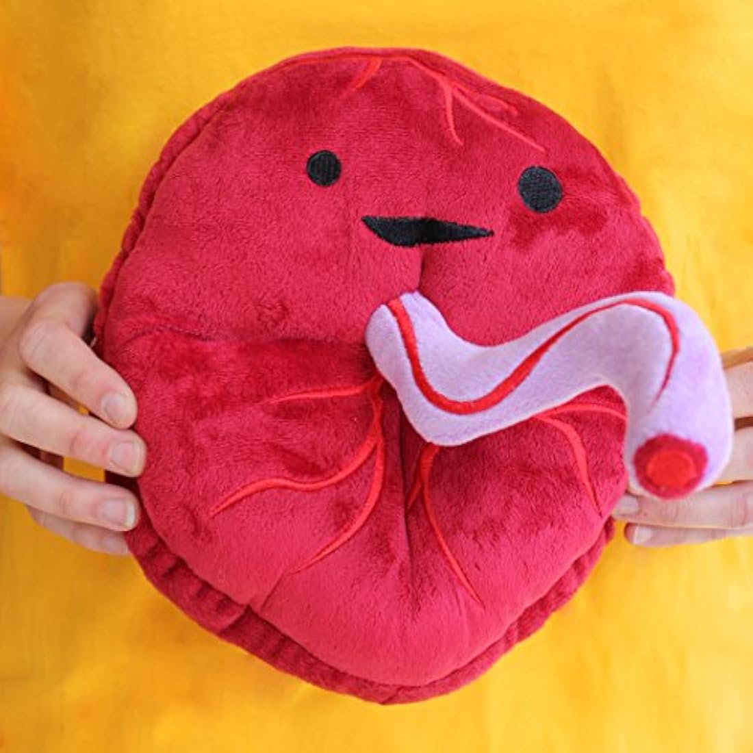Baby 's First de placenta Roommate Diseñador Plush Figure I Heart Guts.