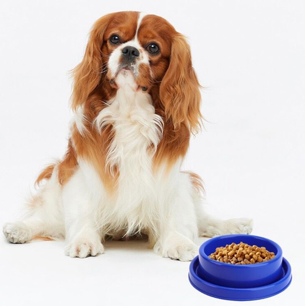 GRPET Comedero para animales pequeños y gatos