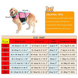 Doglay Chaleco salvavidas para perros con rayas reflectantes
