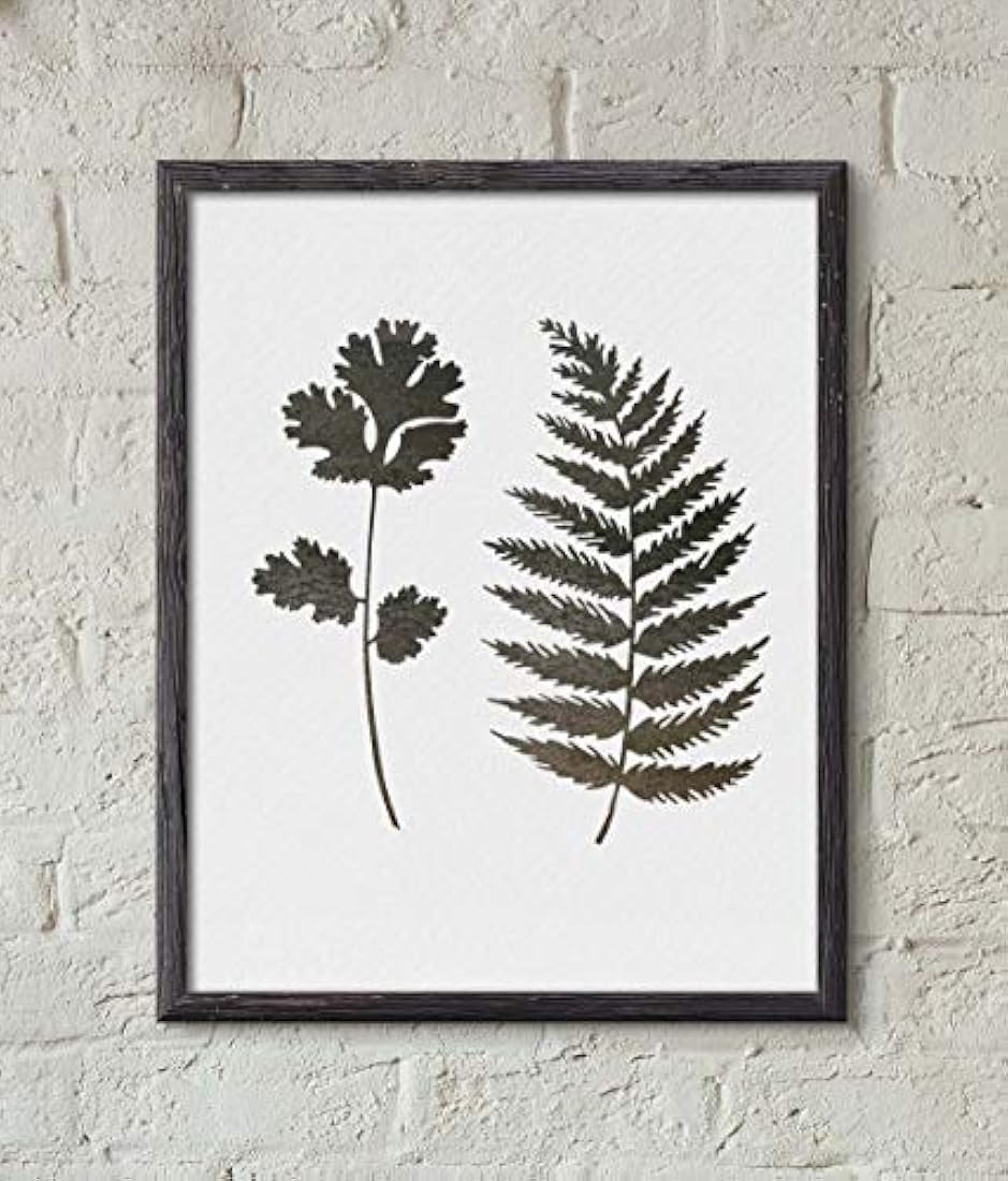 Plantillas de pared para pintura diseño de helecho