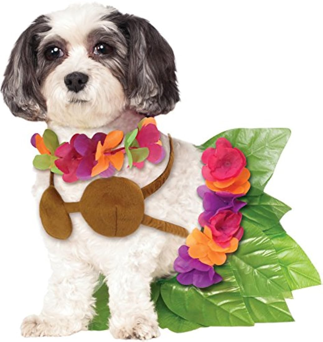 Disfraz de mascota