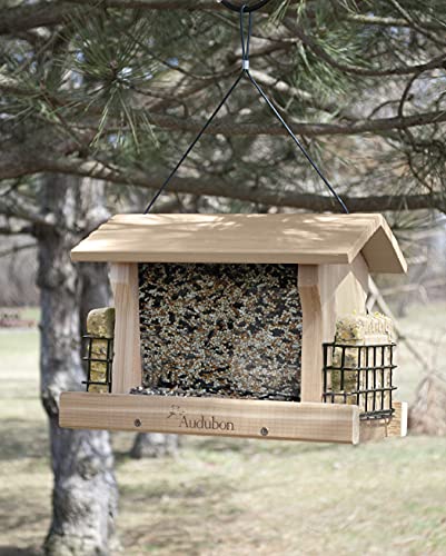 Comedero para pájaros silvestre  tamaño grande Woodlink