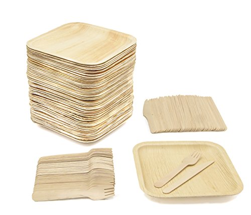 JUEGO DE PLATO DE PAPEL