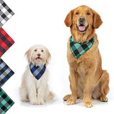 Accesorios para perros pequeños, medianos, grandes.