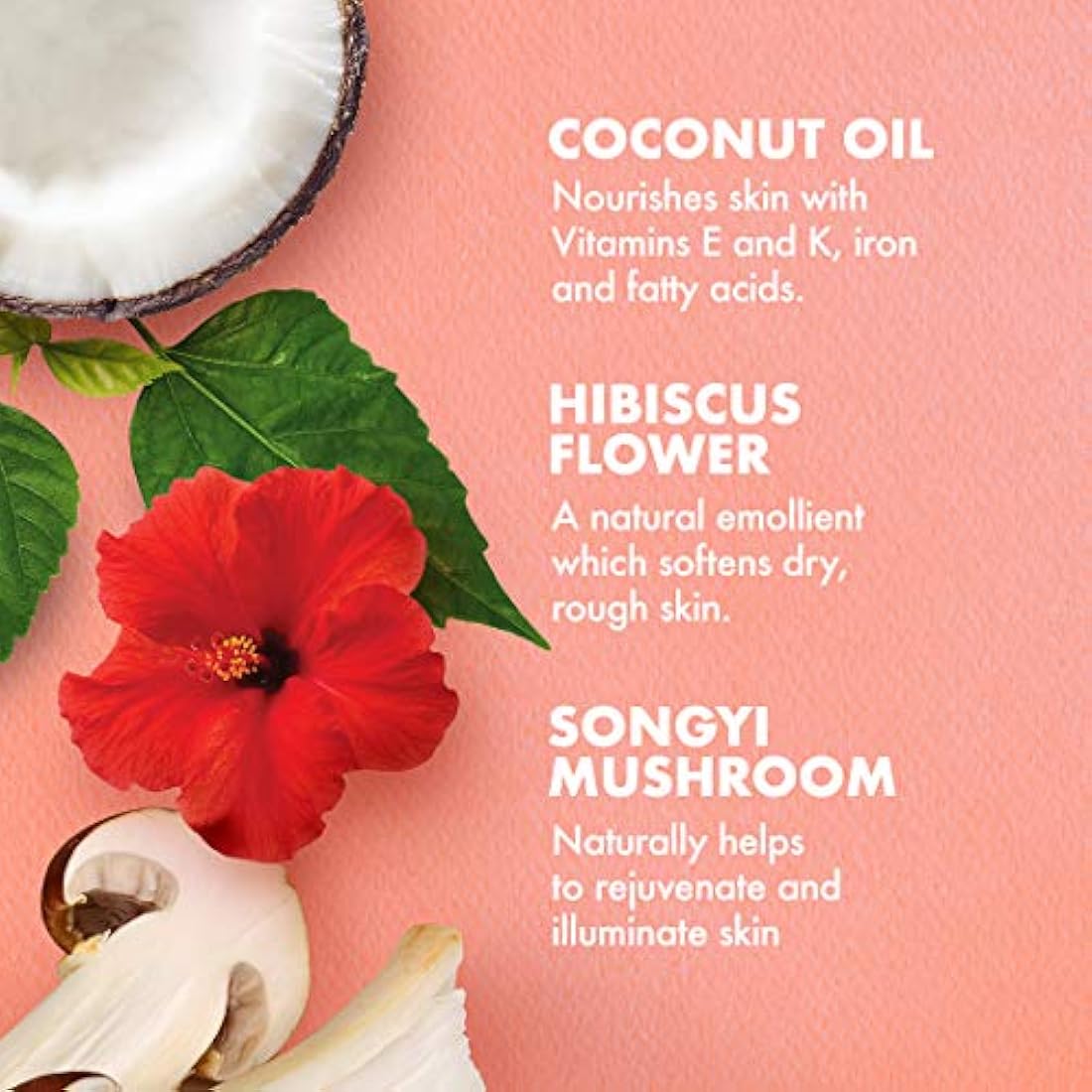 Crema hidratante de loción corporal de coco e hibisco