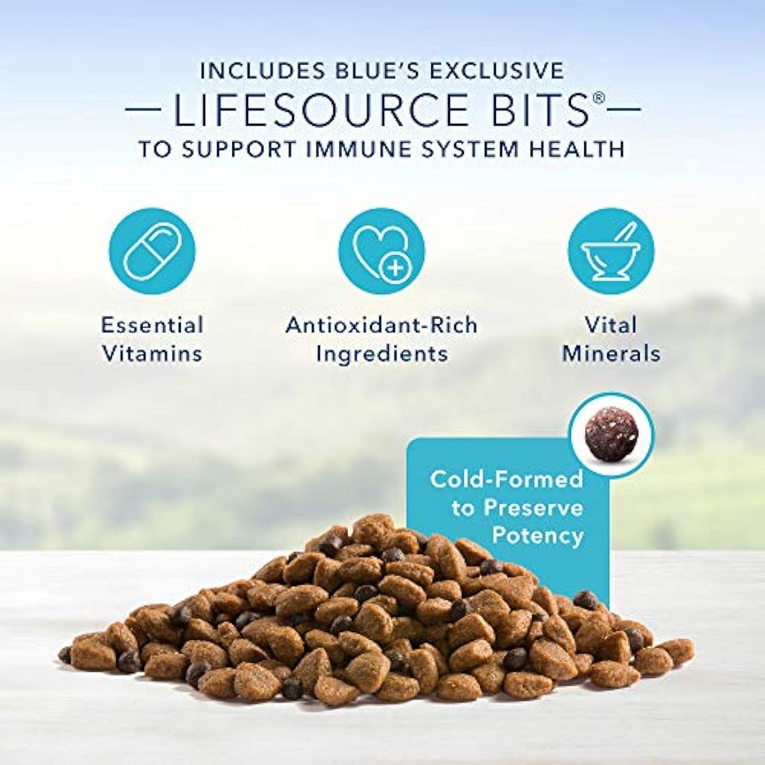 Protection Formula Alimento seco natural para perros adultos
