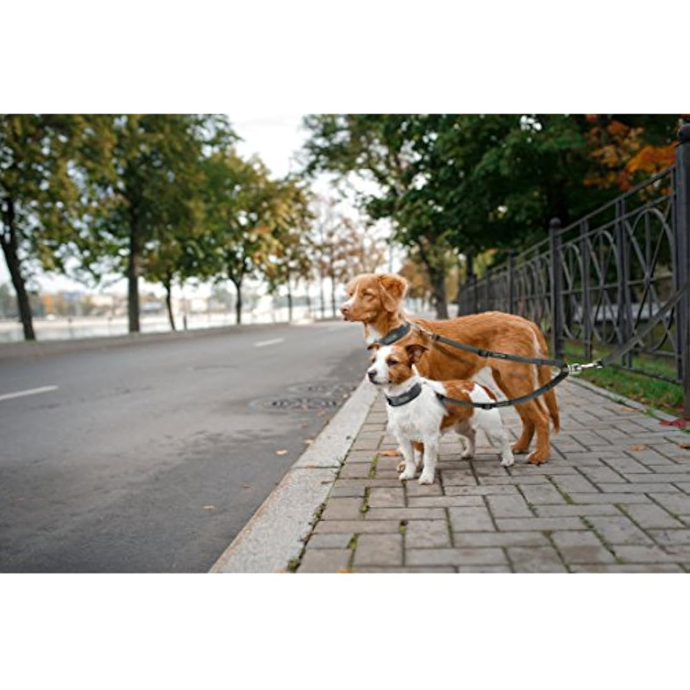 Correa doble ajustable para 2 perros
