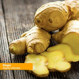 Extracto de jengibre orgánico certificado Herb Pharm
