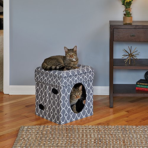 Casas de gato