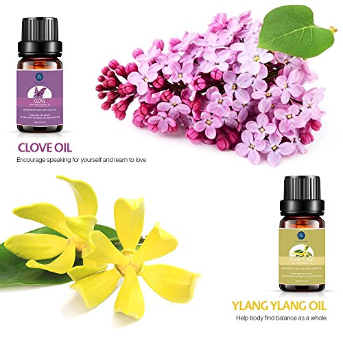 Essential Oils,Top 10 Pure Aromatherapy Oils Set de regalo