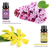 Essential Oils,Top 10 Pure Aromatherapy Oils Set de regalo