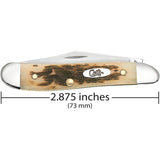 Cuchilla de bolsillo beige