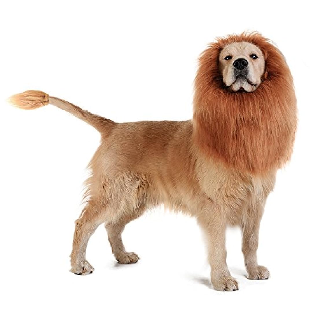 Peluca de melena de león para perro