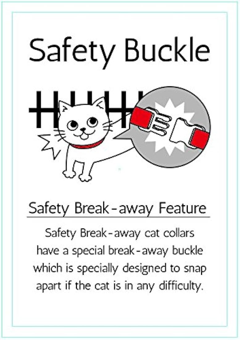 Collar de gato