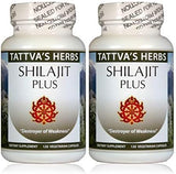 Suplemento Herbs Extracto de Shilajit  Sin OMG 240 caps