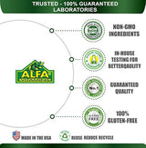 Alfa Vitamins® Multi Daily – Vitaminas esenciales para apoyar el sistema inmunológico y promover un estilo de vida saludable – 120 tabletas