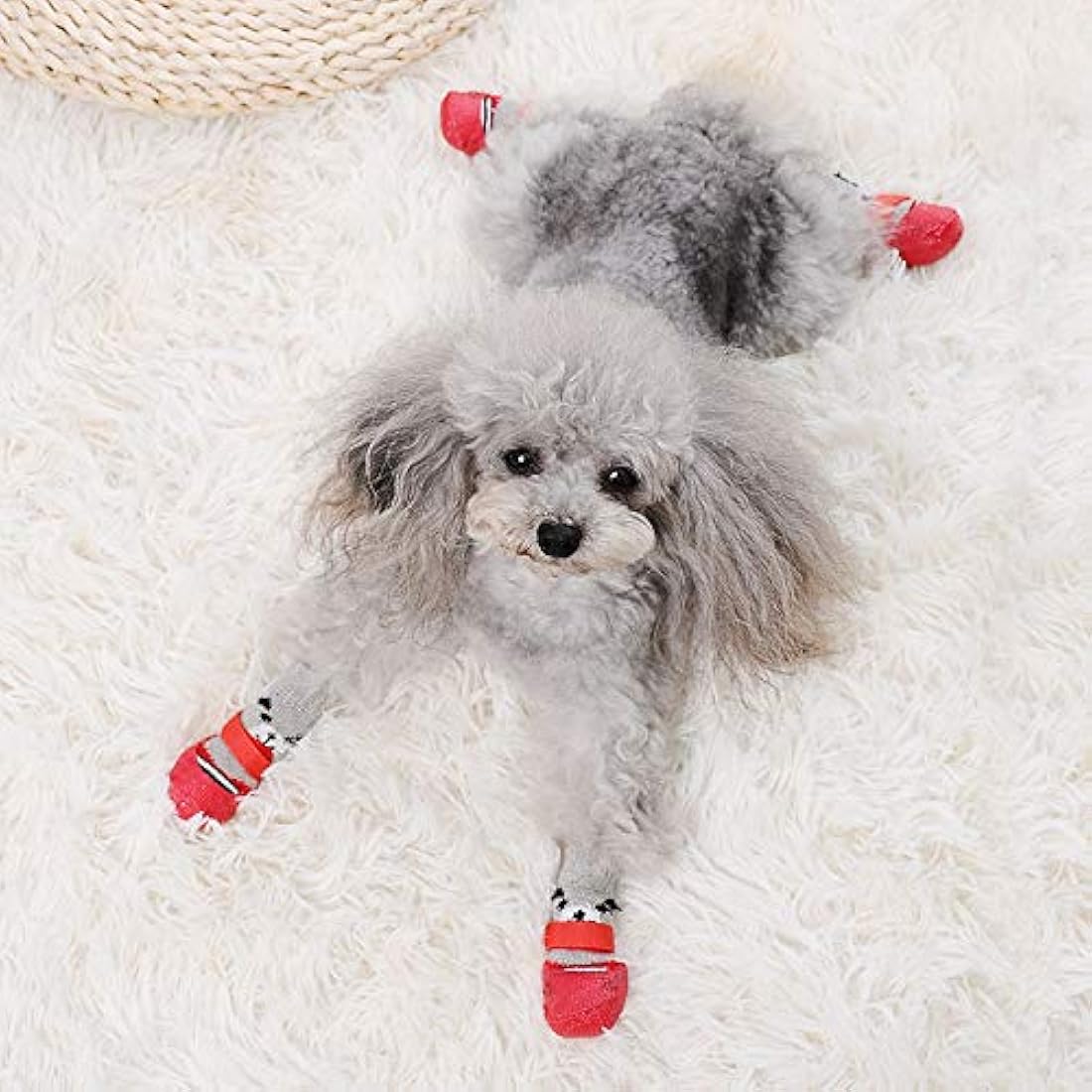 Botas para perro y gato