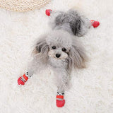 Botas para perro y gato