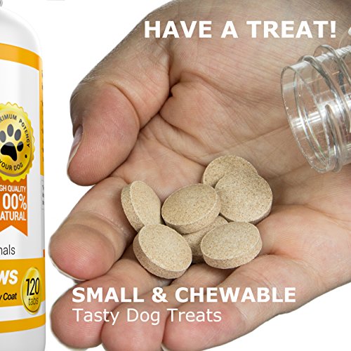 Antioxidante para mascotas con aceite de pescado para perros