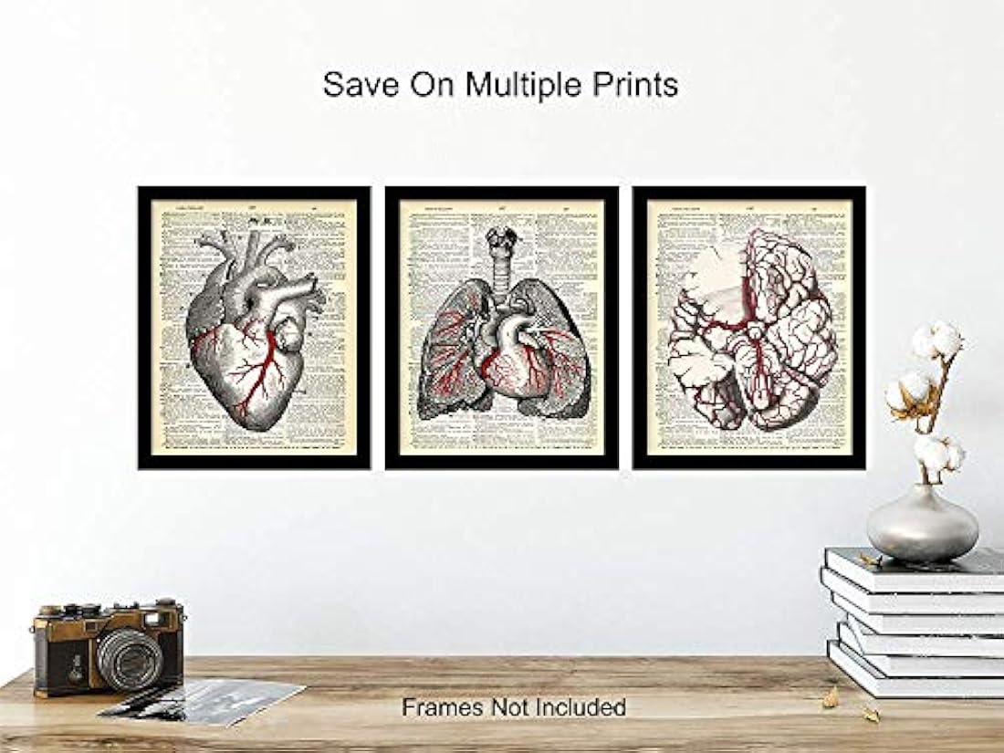 Diccionario gótico de órganos de anatomía vintage - 8x10