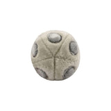 Peluches microbios HPV Papillomaviridae  de felpa