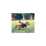 Disfraces con vaquero para perros talla XS