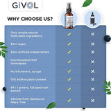 GIVOL (por Logic Remedy)  líquido orgánico de saúco-sambucus