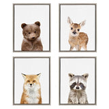 Kate and Laurel Sylvie Raccoon - Lienzo enmarcado para pared