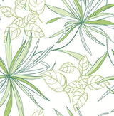 Papel pintado 216 x 20.5 x 0.01 pulgadas  color verde