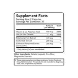 Suplemento dietético probiótico de GS-Supplements, 60 cápsulas