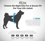 Chaqueta salvavidas para perro