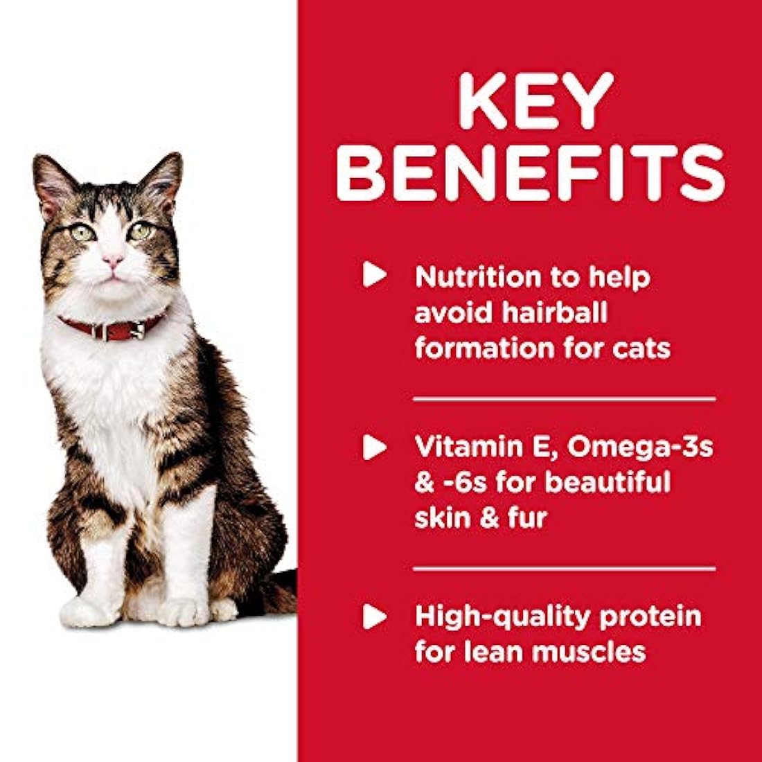 Hill's Science Diet Comida húmeda para gatos, adultos