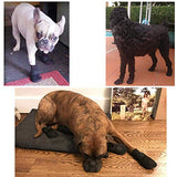 HiPaw - Botas de malla transpirables para perro, suela de goma antideslizante para verano