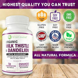 Max Absortion Cardo de leche orgánica extracto concentrado