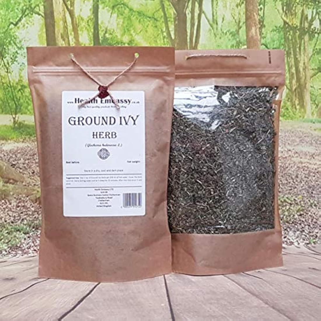 Hiedra terrestre (glechoma hederacea L.) – Salud Embajada