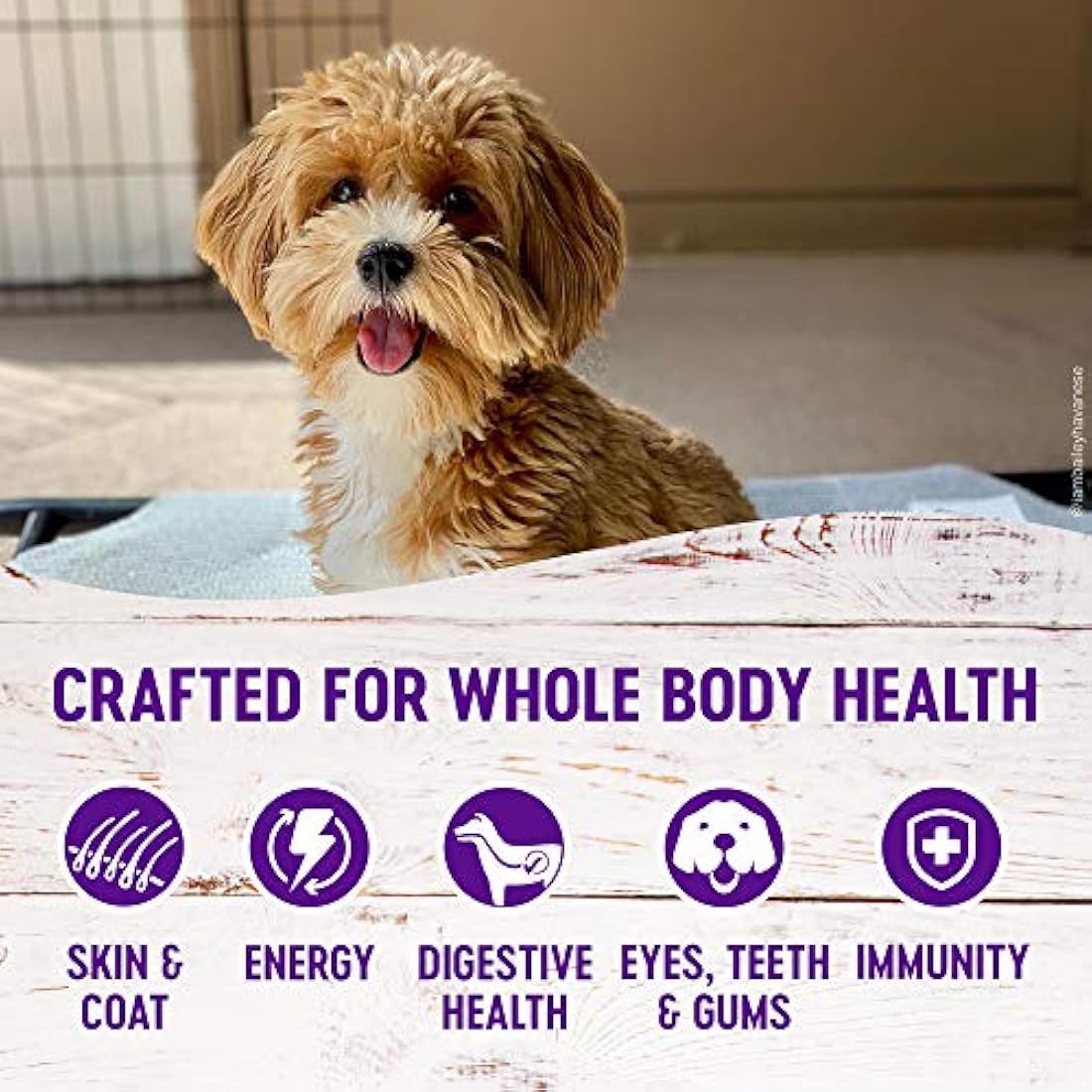 Alimento seco natural para perro