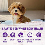 Alimento seco natural para perro