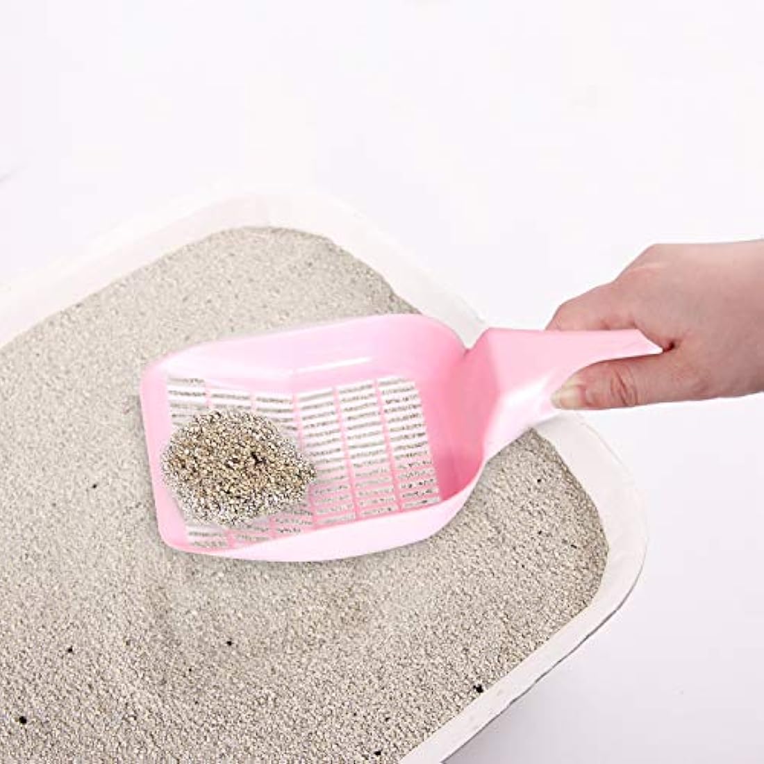 PAWISE Kit de iniciación para gatos, incluye 4 suministros para gatitos, ideal para gatitos pequeños, 14.5 x 10.5 pulgadas