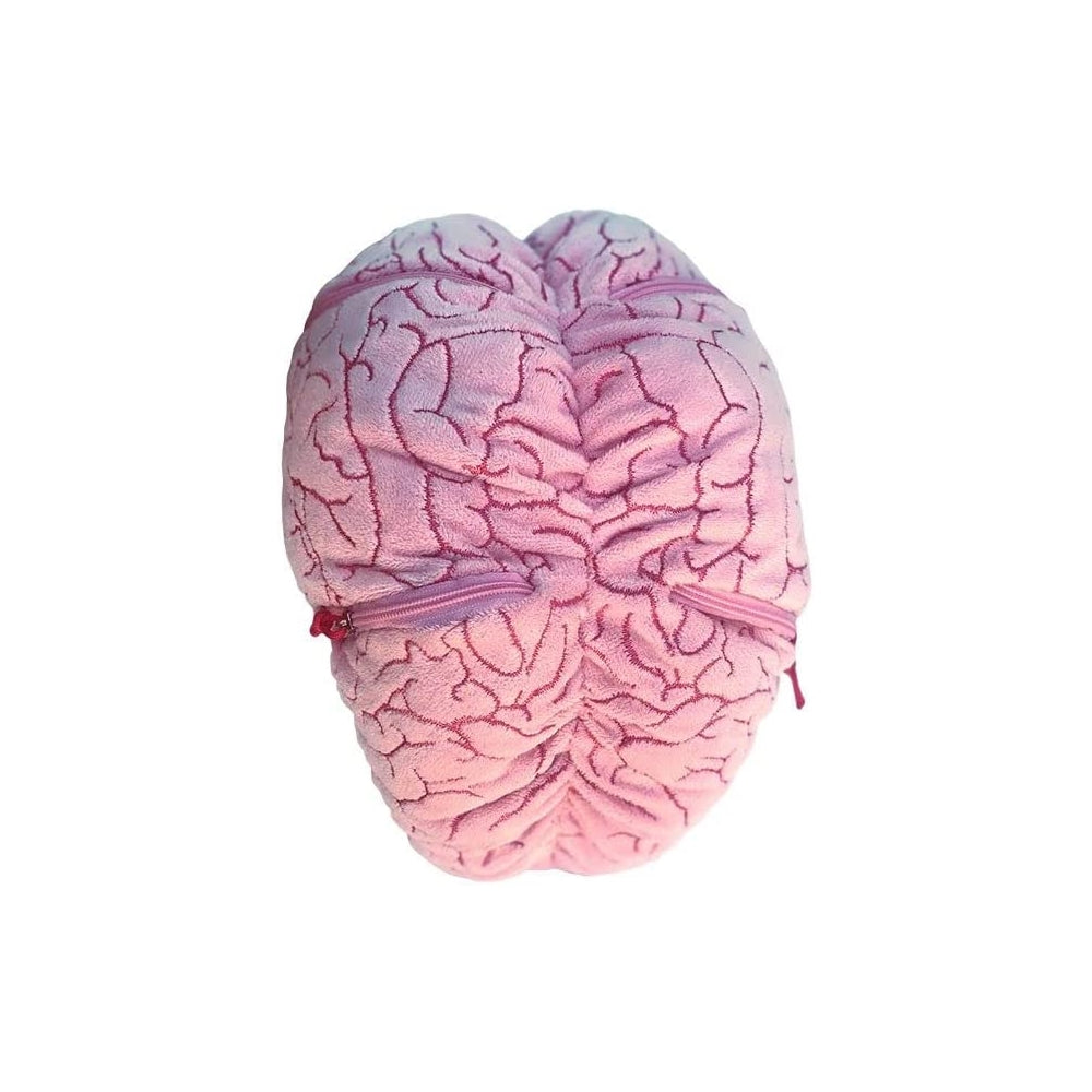 Peluches de cerebro con neuronas de felpa