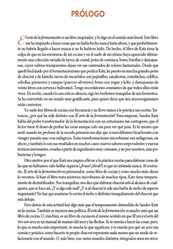 El arte de la fermentacion (Spanish Edition)