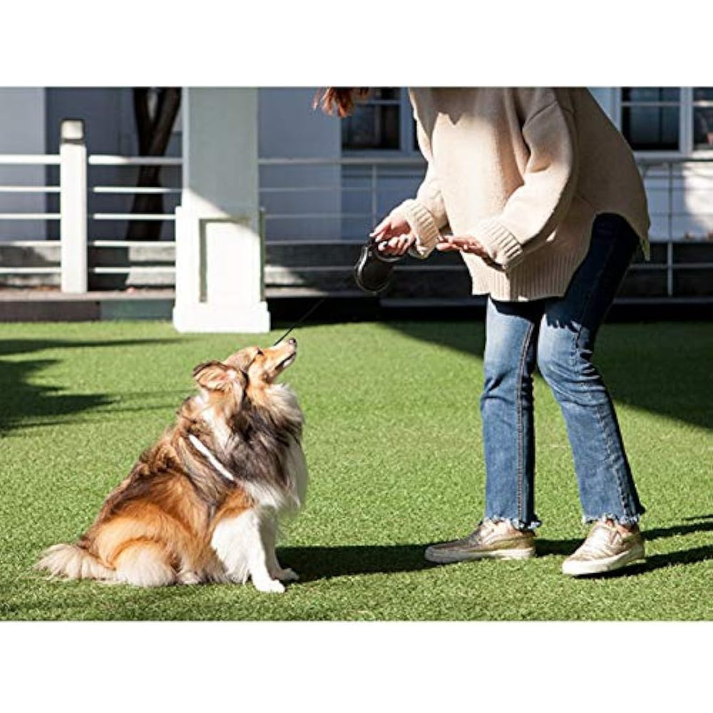 Correa retráctil para perros Fida